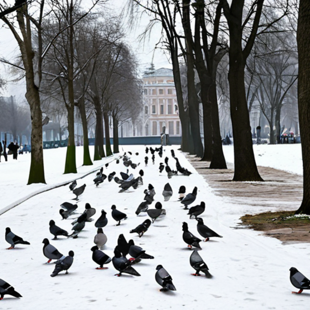 비둘기 도심 서식지 연구 - **Prompt:** A flock of pigeons foraging for food in a winter city park, fully clothed people walking...