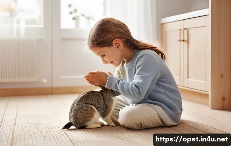 토끼 실내 배변 훈련 관련 이미지 2