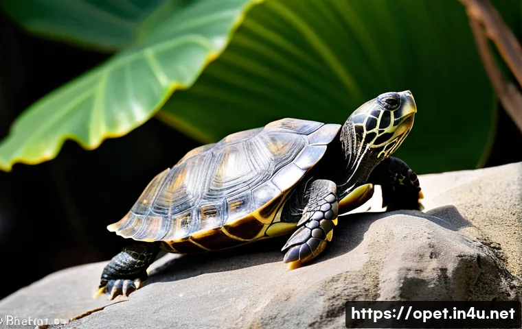 거북이 햇빛 필요성 - **Image Prompt 1: The Sun-Kissed Warrior**
A close-up, vibrant, and highly detailed shot of a he...