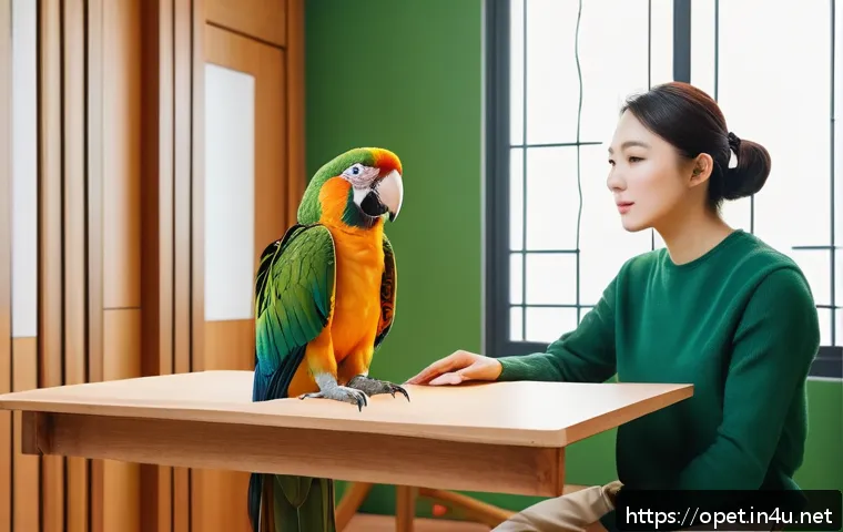 칵테일 앵무새 교감 훈련 - A calm indoor training scene featuring a parrot perched attentively on a colorful wooden stand insid...
