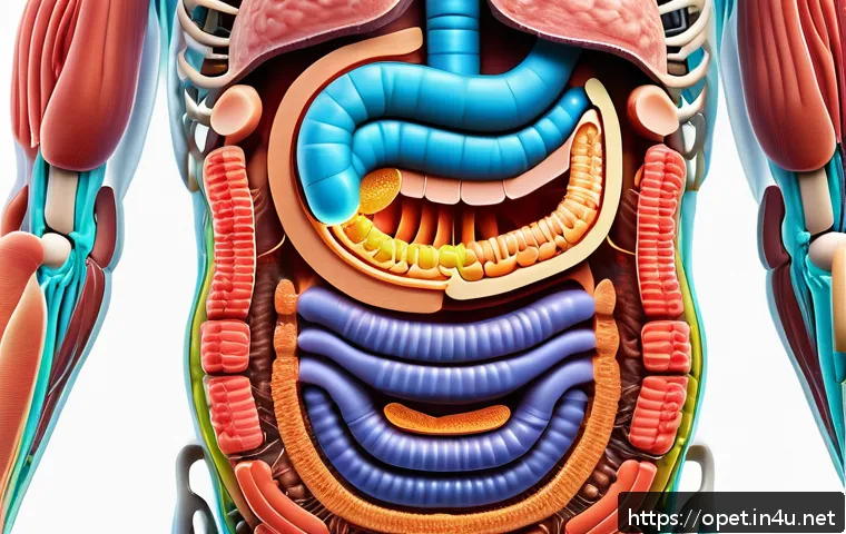 염소 젖산 함량 - A vibrant and detailed scientific illustration of the human digestive system highlighting the colon ...