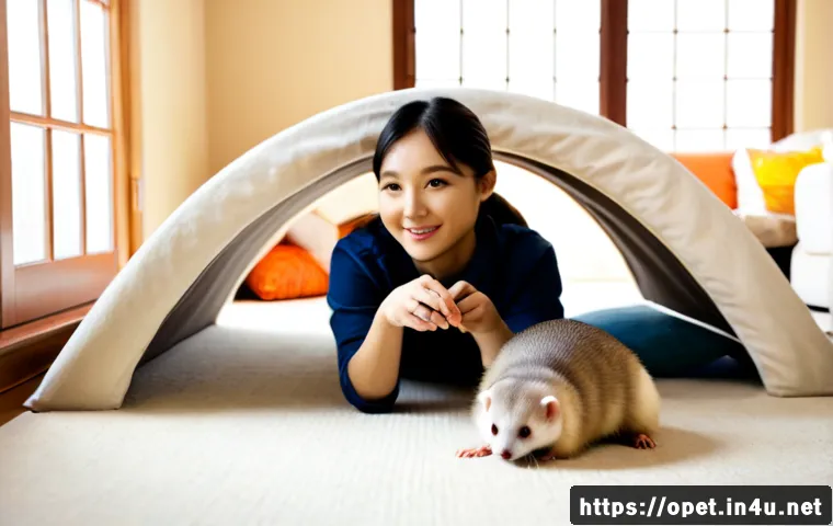 Home 17 페럿 사회성 훈련 - Photorealistic indoor pet socialization training scene, two friendly ferrets cautiously meeting on a...