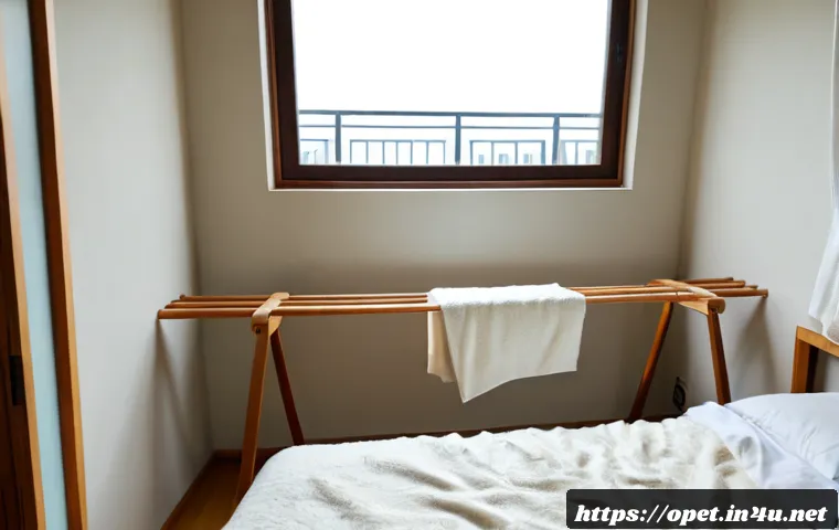 양모 이불 세탁법 관련 이미지 1
