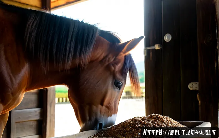 말 먹이 조합 - Photorealistic close-up of a healthy chestnut horse eating a balanced feed mixture from a clean wood...